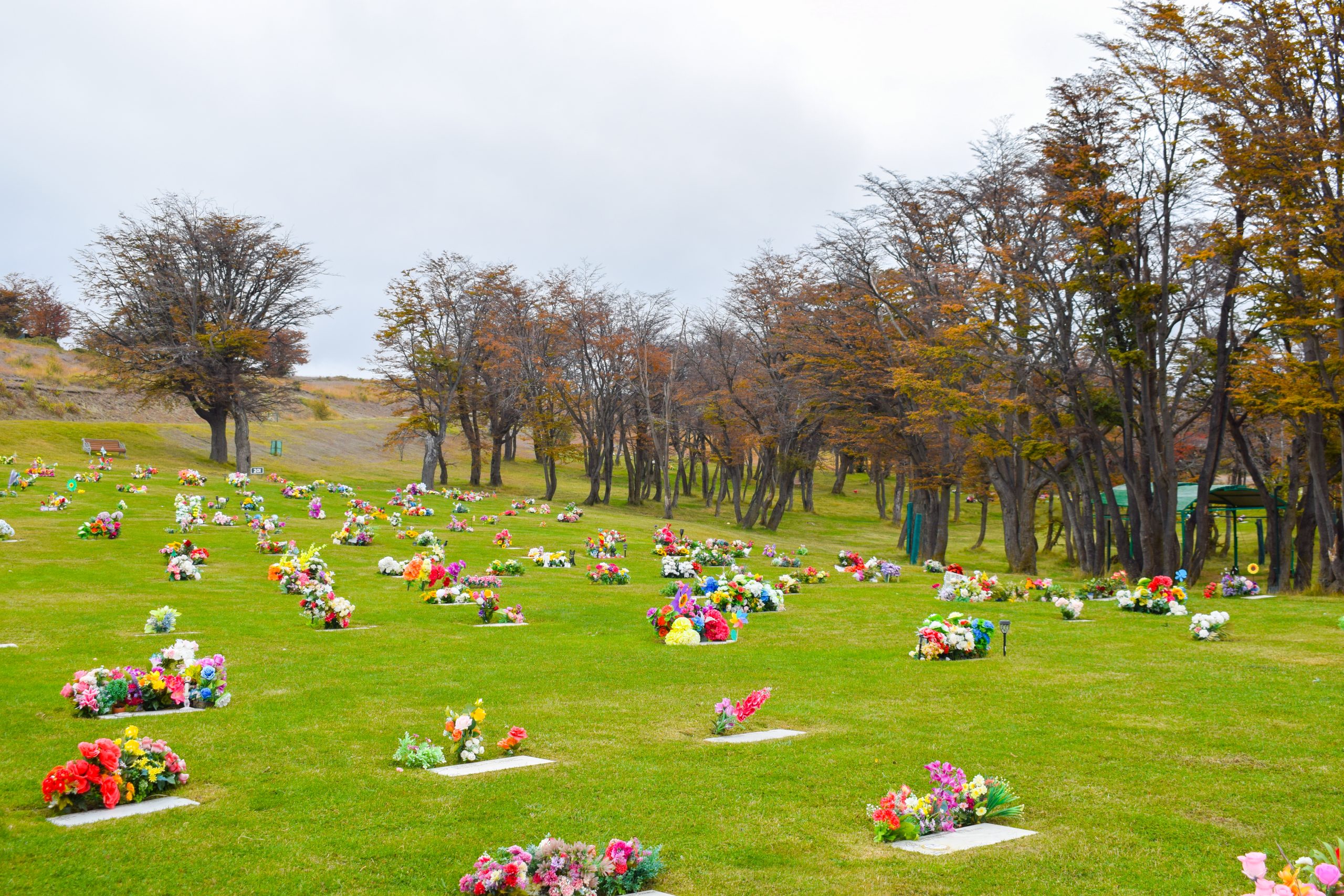 Cementerio_cruzdefroward-68