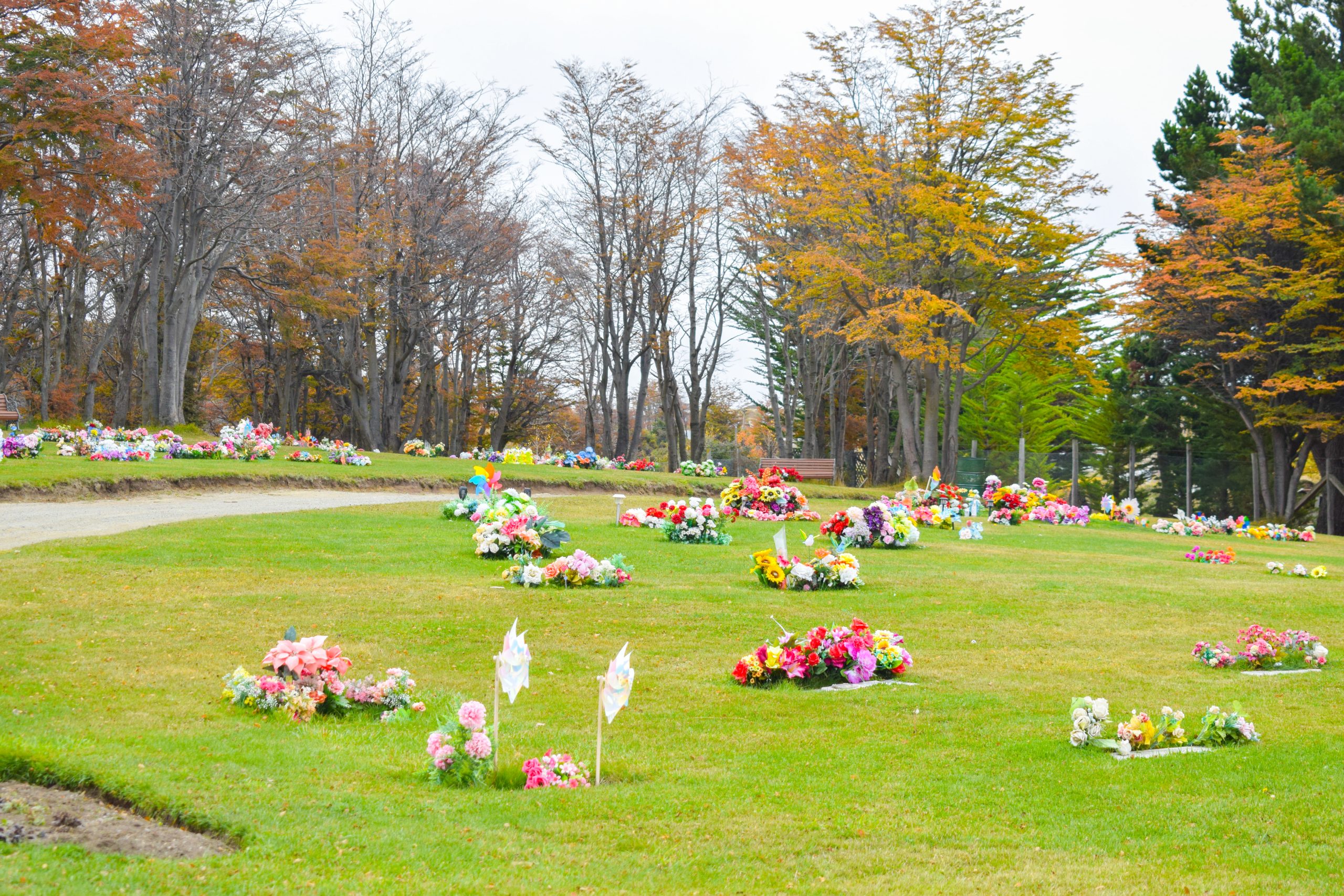 Cementerio_cruzdefroward-77